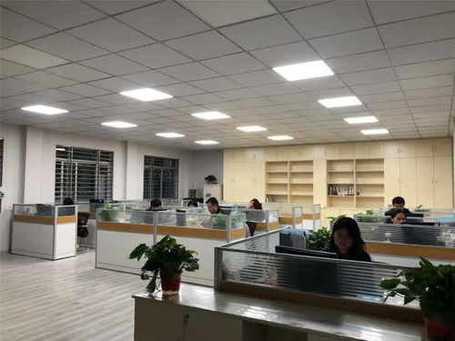 揚(yáng)州玉器廠迎戰(zhàn)雙十一 電商中心啟用，民辦培訓(xùn)機(jī)構(gòu)助陣