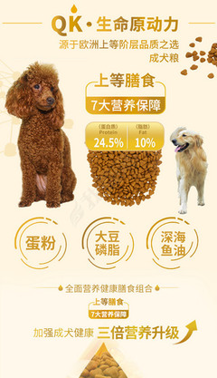 寵物食品選購指南 從看懂成分表到科學喂養